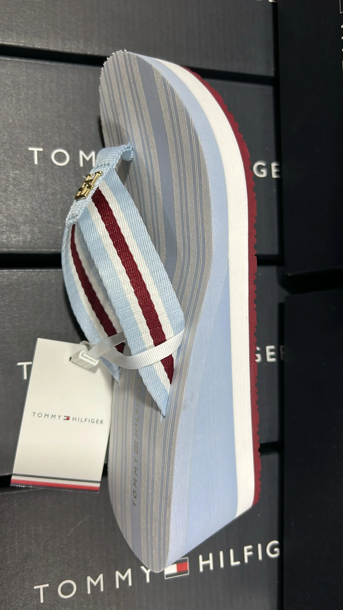 Sandalias Tommy - Tacón 6 cms - Ski Blue
