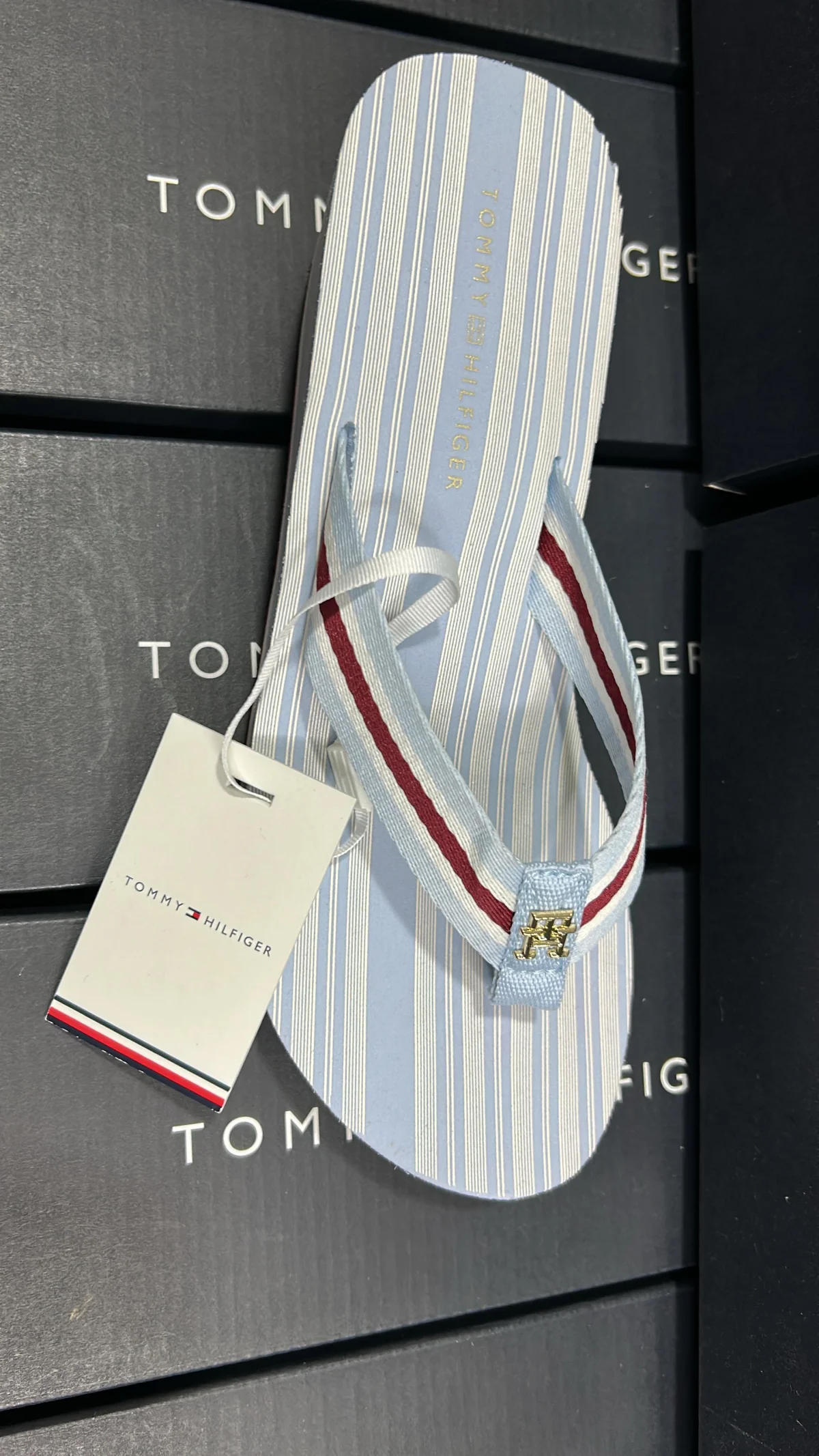 Sandalias Tommy - Tacón 6 cms - Ski Blue