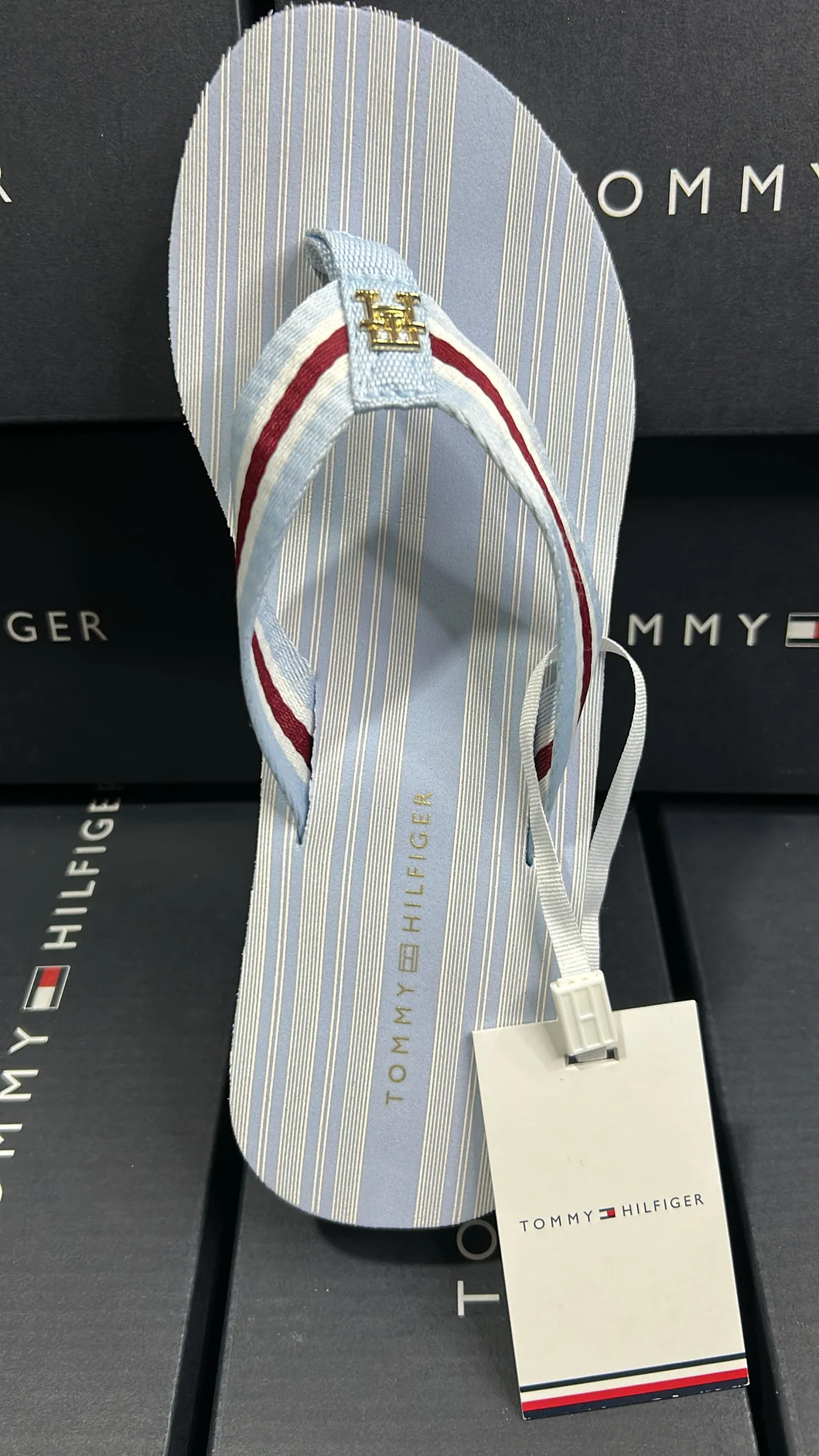 Sandalias Tommy - Tacón 6 cms - Ski Blue